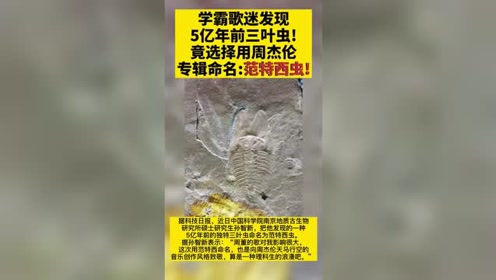 腾讯视频