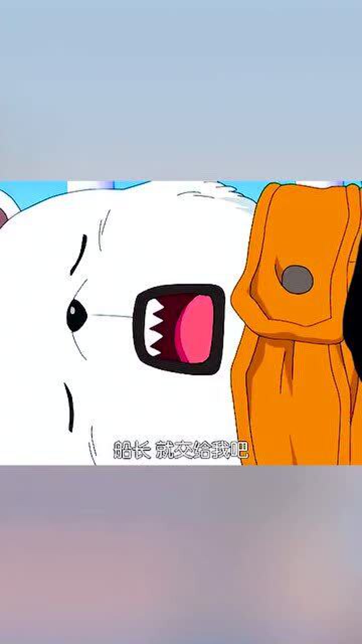 海贼王:贝波和乔巴一个夸不得,一个讲不得,罗好宠溺得眼神哦!