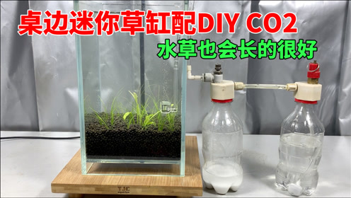 Co2水草表 腾讯视频