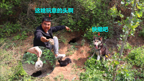 兔爷 腾讯视频