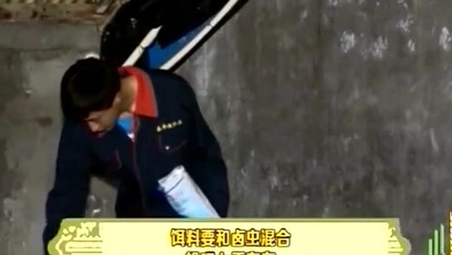 懵仔鱼 腾讯视频