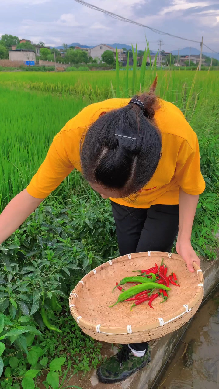 如果你刷到我的视频,证明你也热爱生活,你好,我是90后农村姑娘,来自