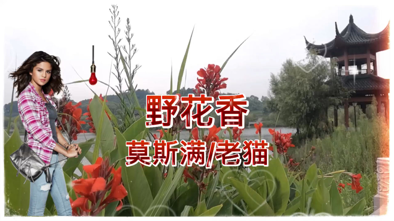 音乐欣赏,野花香,莫斯满/老猫演唱
