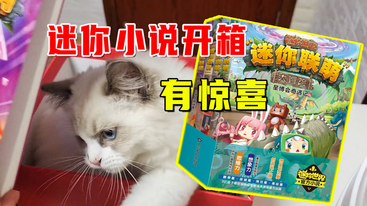 迷你世界:妹子的迷你联盟官方小说开箱,里面还有惊喜的小礼物哦