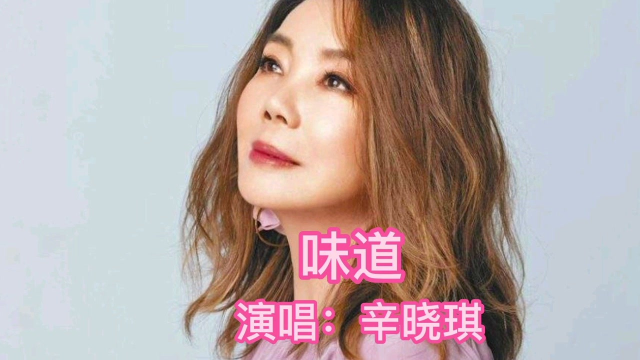 推荐天后辛晓琪的经典代表作(味道)