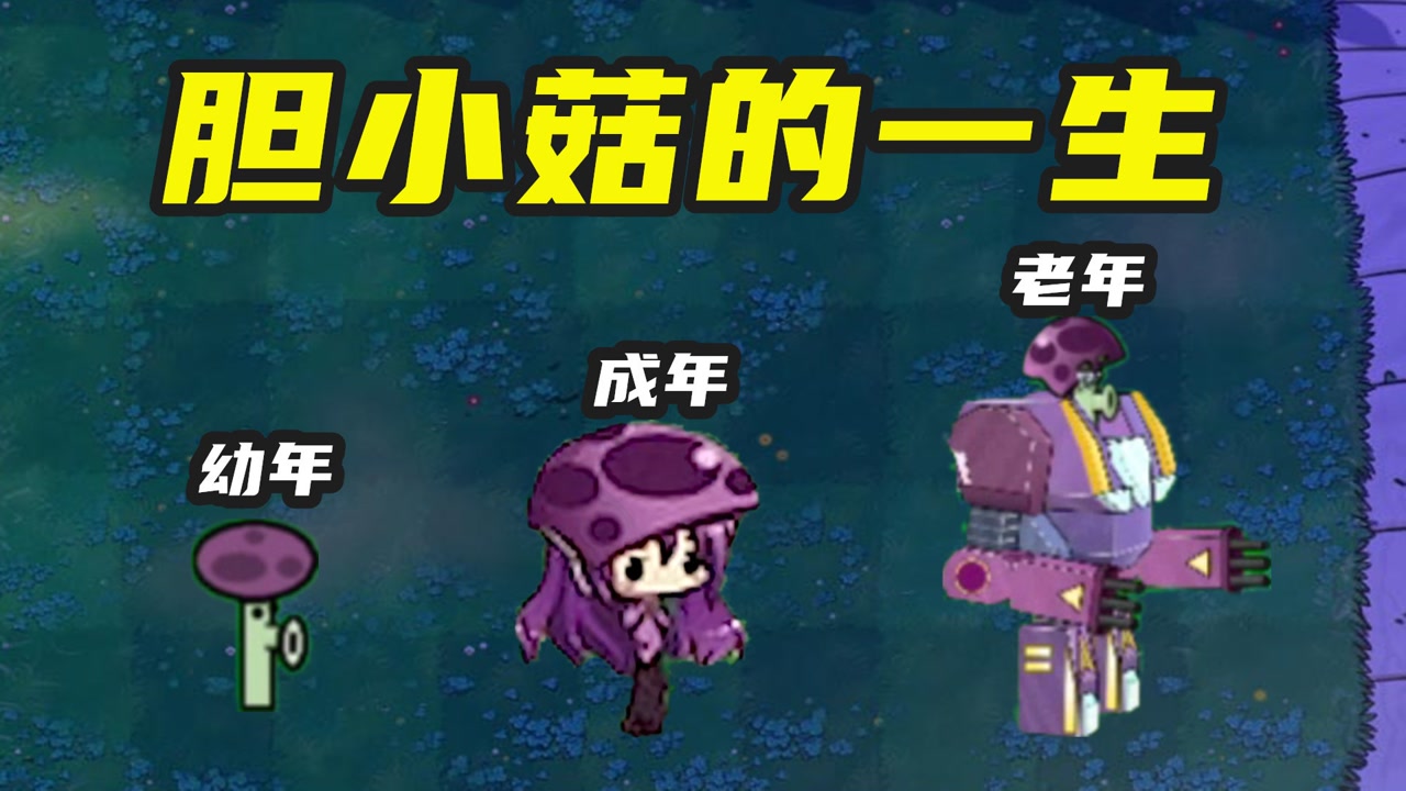 植物大战僵尸:胆小菇的一生,做了主播,成了女装大佬?