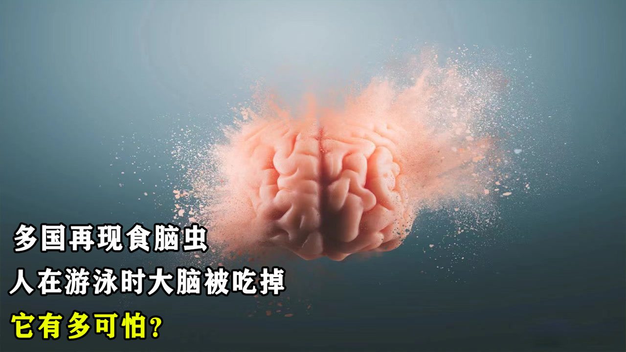多国再现食脑虫,人在游泳时大脑被吃掉,它有多可怕?如何预防?