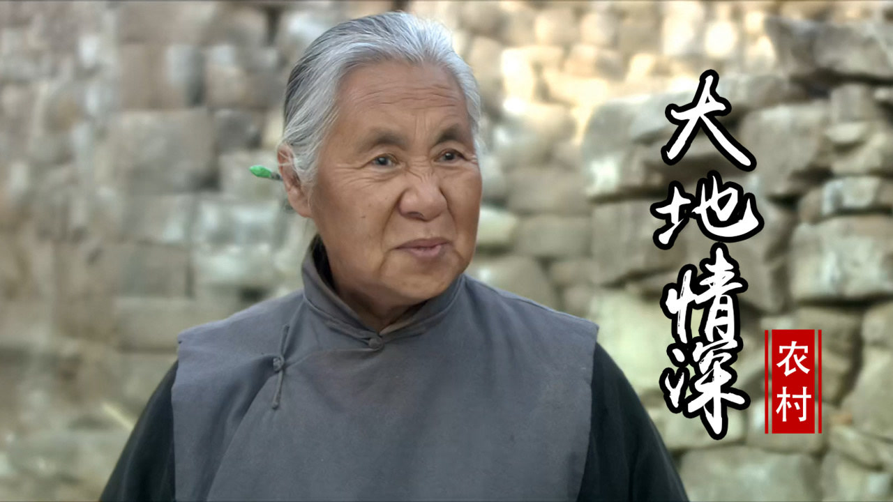 大地情深:众人集体谈论枣儿母亲的痛处,她们难道是故意的吗