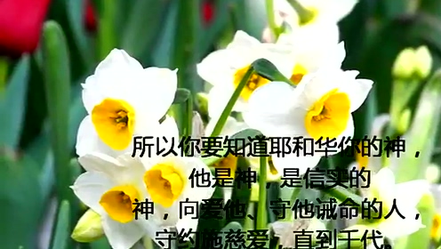 耶和华祝福满满 腾讯视频