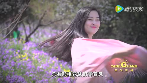 [图]邓丽君《人面桃花》