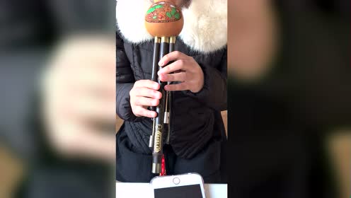 葫芦丝小羊羔示范