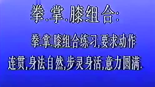 大成拳7实战拳法及实战演练-张礼义_标清