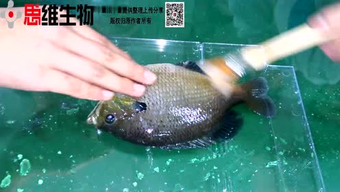 腾讯视频