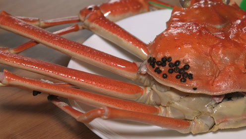 京都新年美食红白对抗:梦幻间人蟹