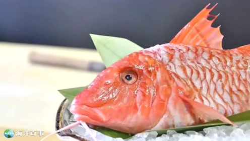 刺身姿造 腾讯视频