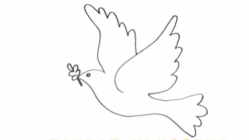 早教简笔画:简单实用的和平鸽简笔画,和宝宝一起画起来吧