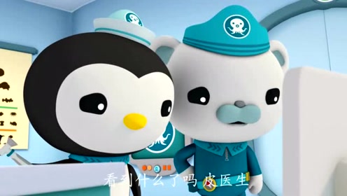 海底小纵队第三季:想不到梭鱼为了等食物多久都愿意等