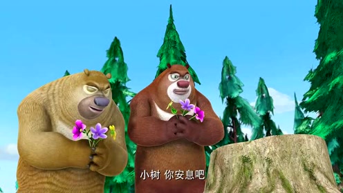 熊出没:有了树木就有了森林,有了森林就有了熊大熊二的家
