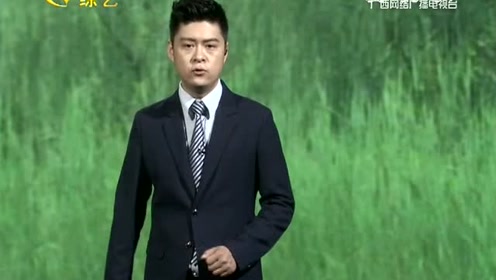 主播拍案 畸恋危情