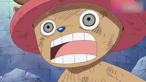 肉球果实 腾讯视频