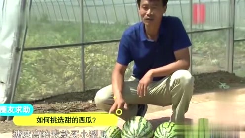 小原雅人 腾讯视频