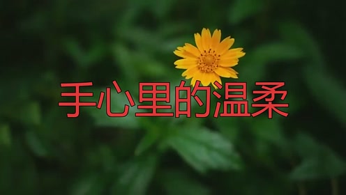 最熱歌曲!降央卓瑪的《手心裡的溫柔》讓人陶醉,非常值得一聽