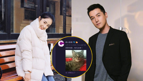 官方否认!胡歌被曝同95后小花章乐韵领证结婚 新人炒作嫌疑大