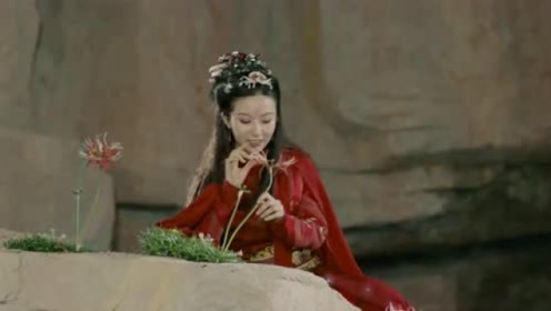 彼岸花公主 腾讯视频