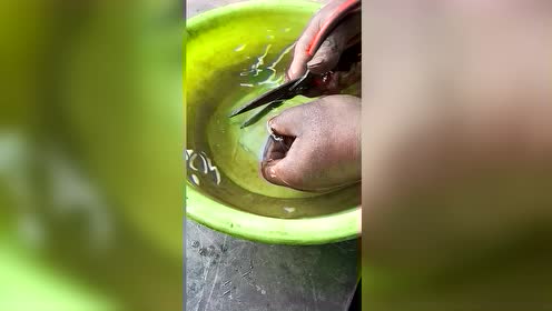 玻璃在水里为什么能用剪刀剪!有什么奥妙吗?