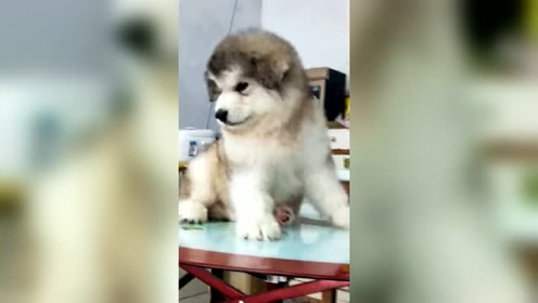 腾讯视频