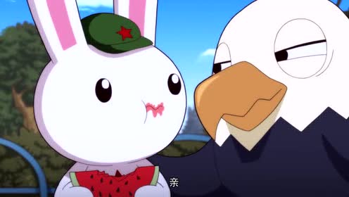 那年那兔:小兔子顶不住西瓜的诱惑!转眼就上了鹰将的当!
