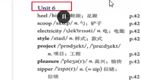 仁爱版九年级英语下册Unit 6 Entertainment and Friendship