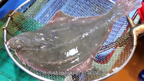 比目鱼刺身 腾讯视频