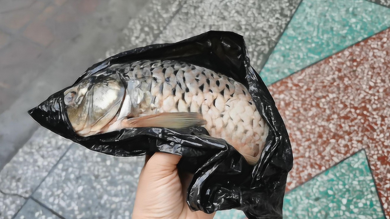 買魚時,為什麼魚販子總用黑袋子裝魚?貓膩真多,快告知家裡人