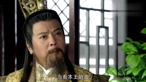 金丸日向子 腾讯视频