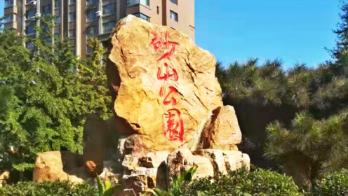 砂山教会 腾讯视频