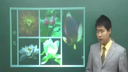 苏教版三年级科学上册