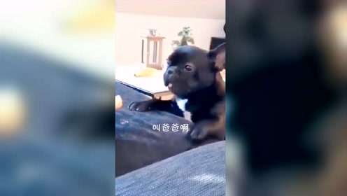 腾讯视频