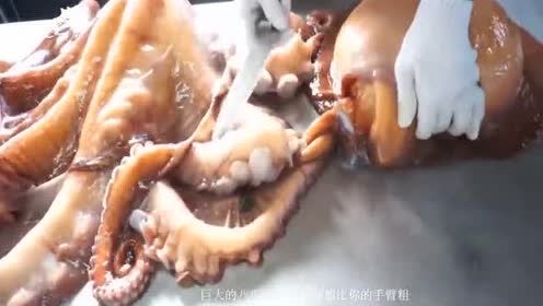 大根脚 腾讯视频