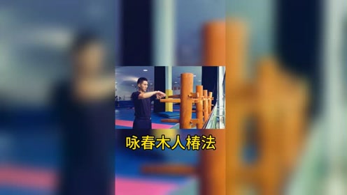 木人椿 腾讯视频