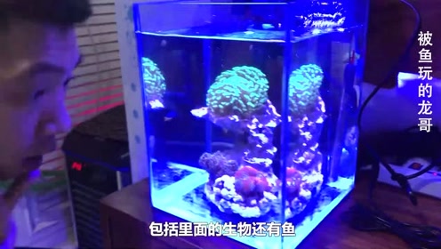 海水套缸 腾讯视频