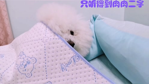 腾讯视频