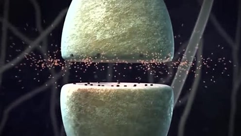 寻找身体特报映像 腾讯视频