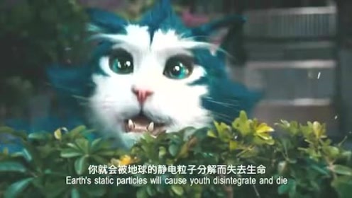 外星猫电影 腾讯视频