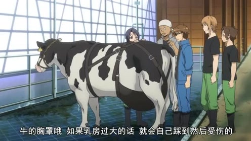 腾讯视频