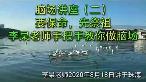 脑场2020年8月讲座(二)(李杲老师2020年8月18日讲于珠海)
