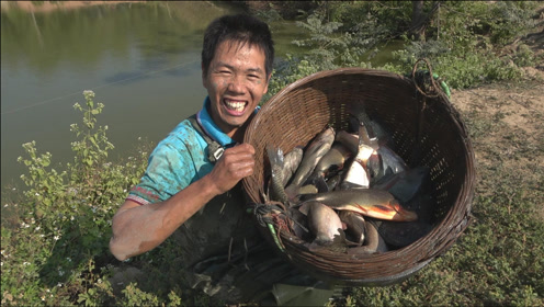 麦穗鱼,我竟然一下抓了上百条,这坑里有上万条上传者:养鱼的大潘时 间
