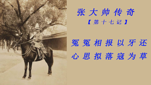 张大帅传奇:冤冤相报以牙还,心思拟落寇为草!
