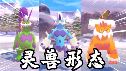 0:03:11宝可梦剑盾:得到现形镜,河马哥让三云神现出灵兽形态时 间