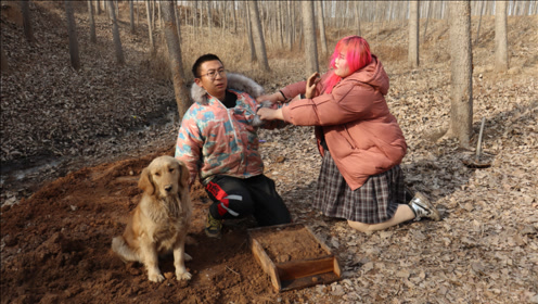 小亮离家出走在野外建造土屋,媳妇找到他后跪下求他回家,好感人